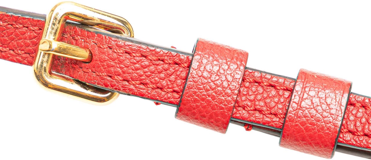 Louis Vuitton Monogram Twice Bruin