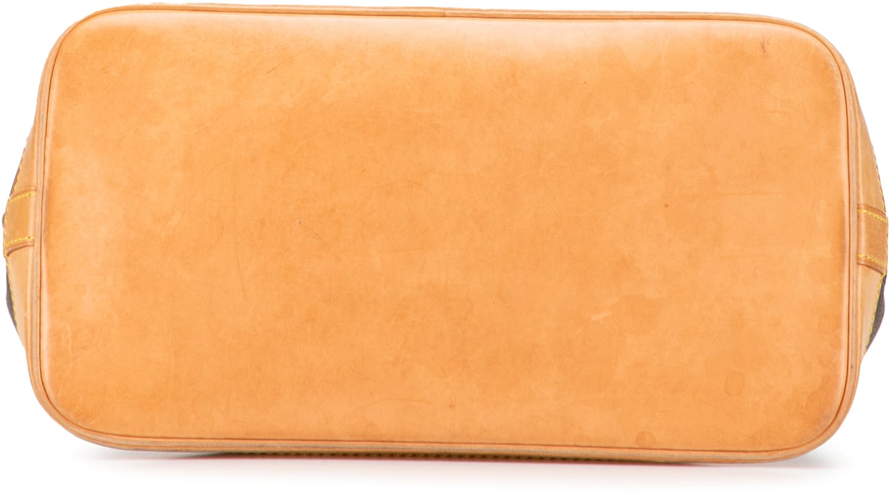 Louis Vuitton Monogram Alma PM Bruin