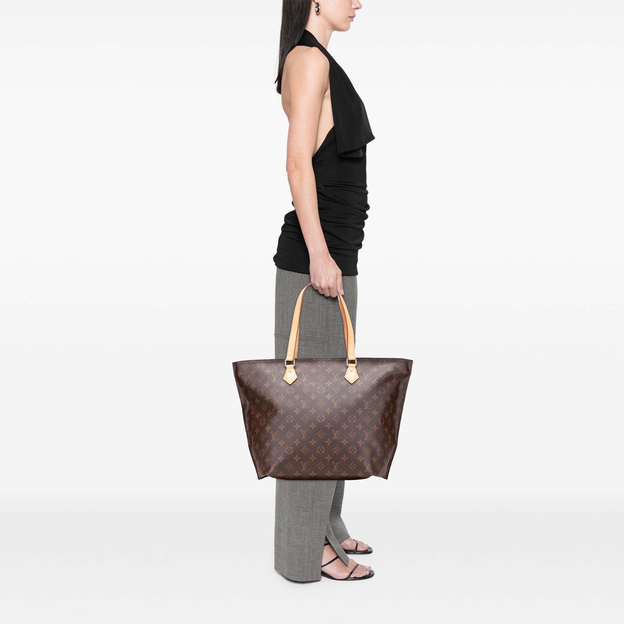 Louis Vuitton Monogram All In PM Bruin