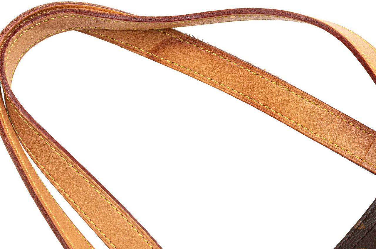 Louis Vuitton Monogram All In PM Bruin