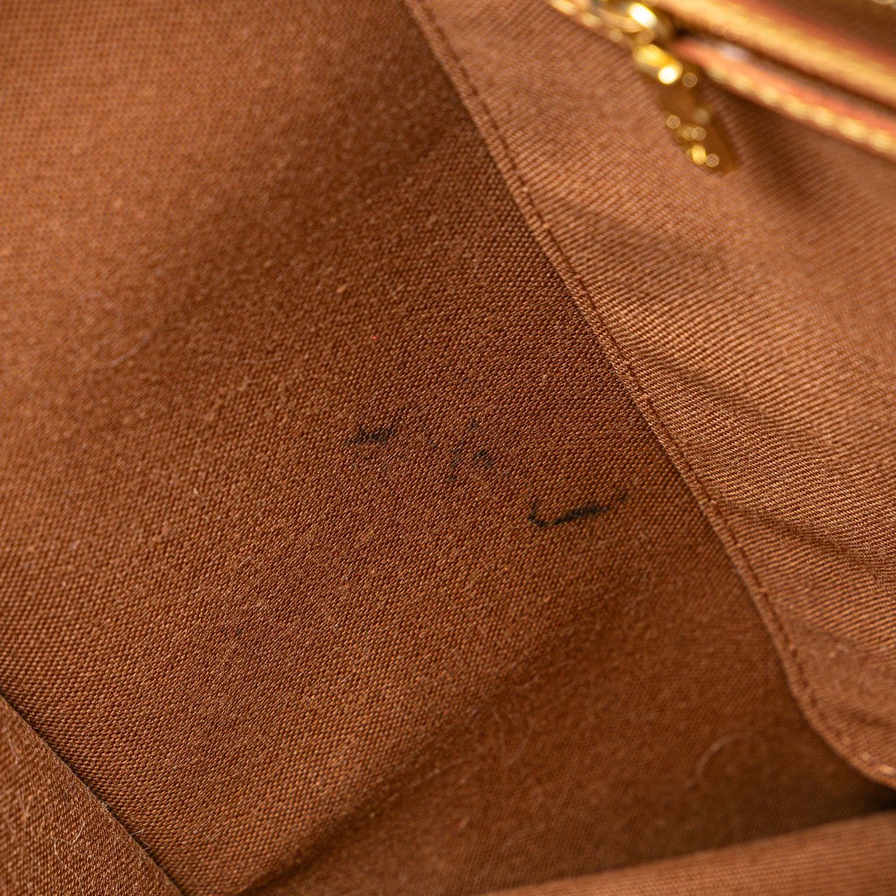 Louis Vuitton Monogram All In PM Bruin