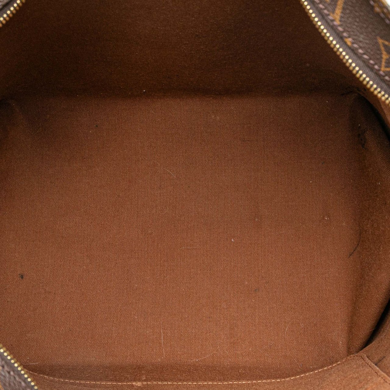 Louis Vuitton Monogram All In PM Bruin