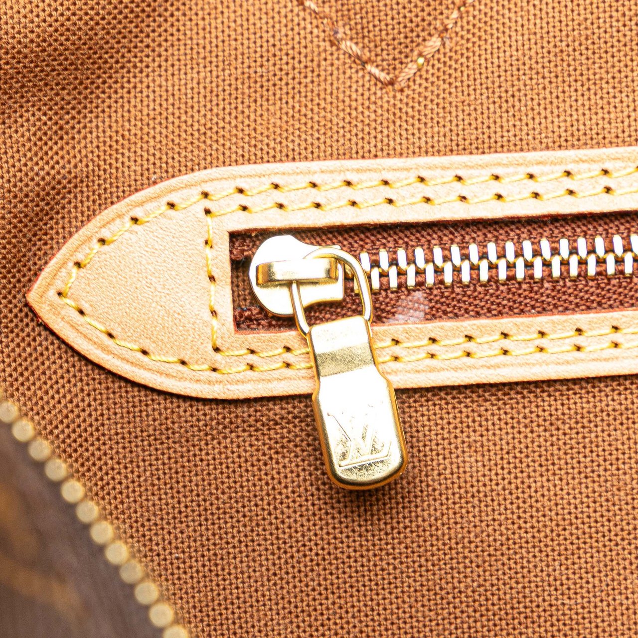 Louis Vuitton Monogram All In PM Bruin