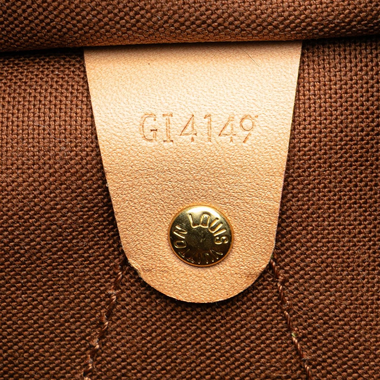 Louis Vuitton Monogram All In PM Bruin