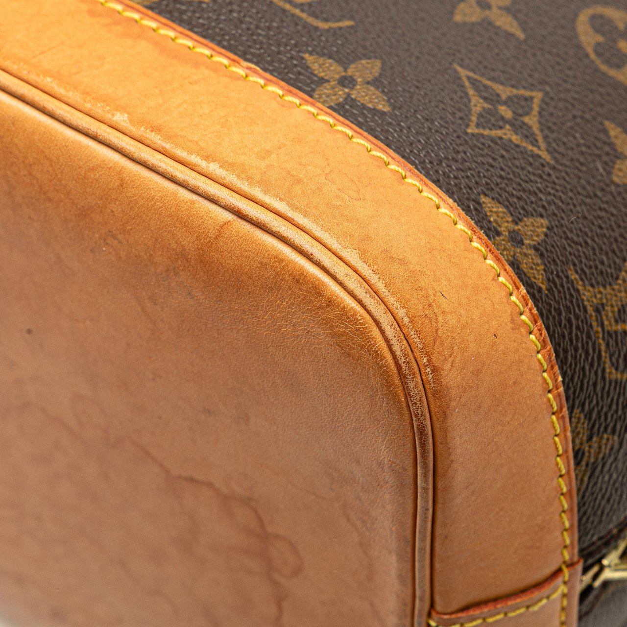 Louis Vuitton Monogram Alma PM Bruin