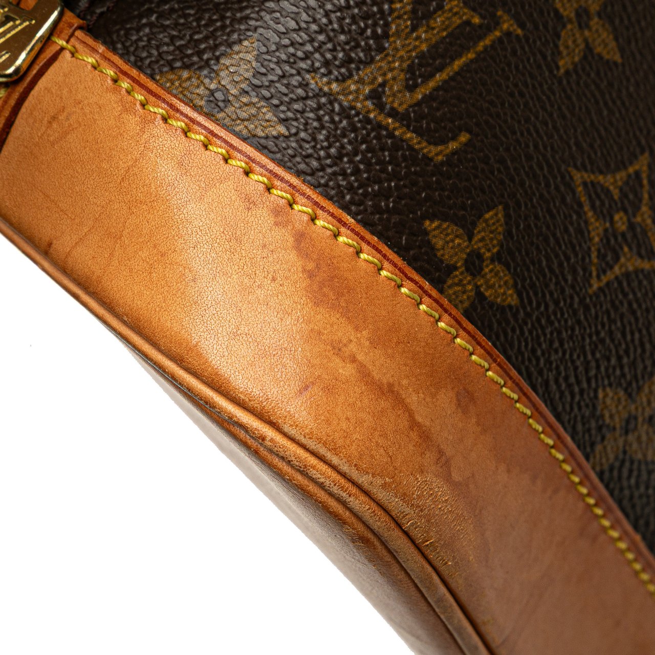 Louis Vuitton Monogram Alma PM Bruin