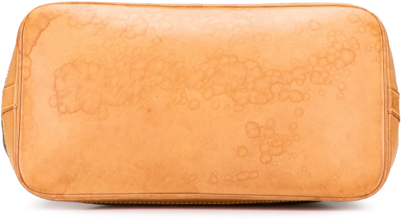 Louis Vuitton Monogram Alma PM Bruin