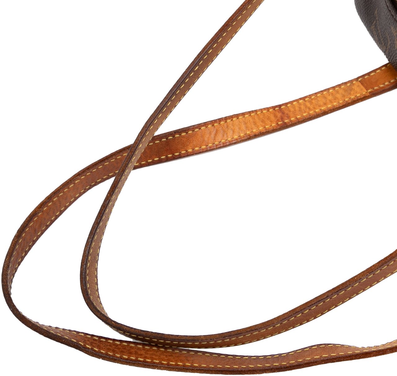 Louis Vuitton Monogram Cite MM Bruin