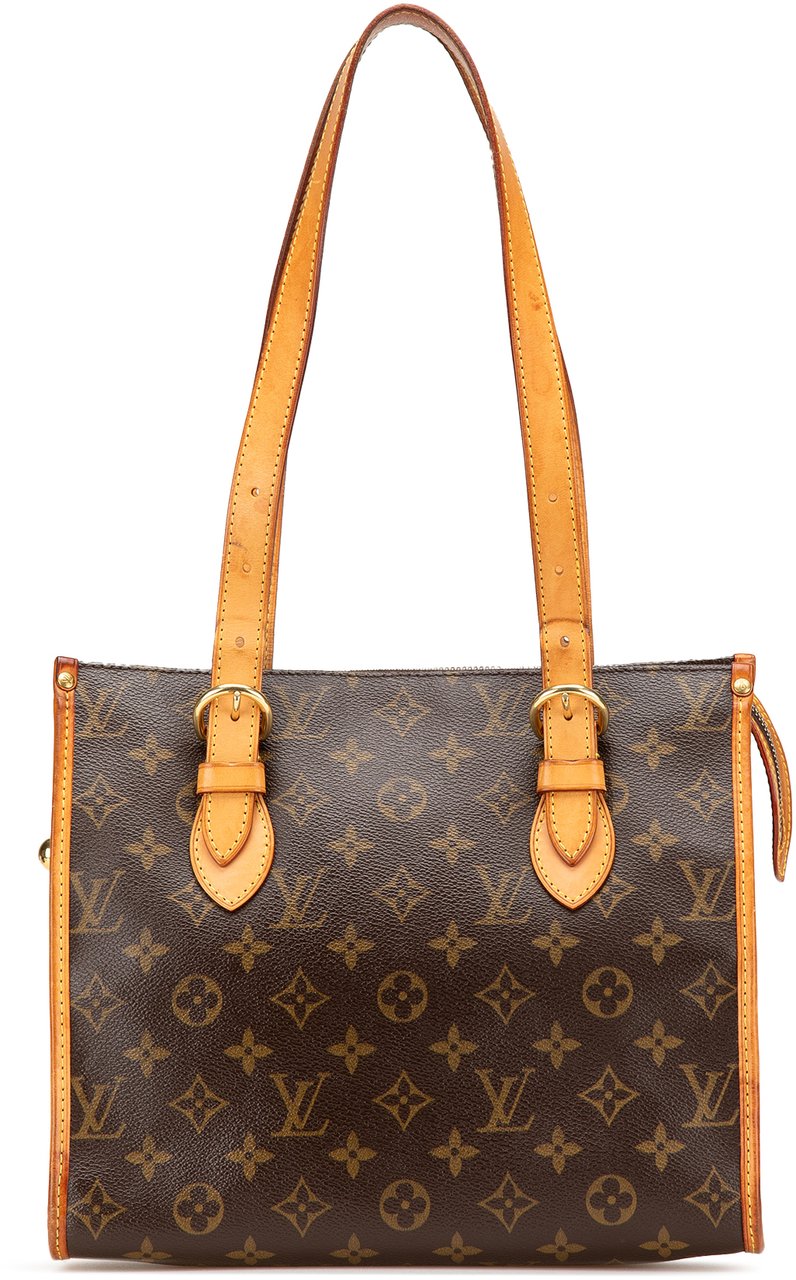 Louis Vuitton Monogram Popincourt Haut Bruin
