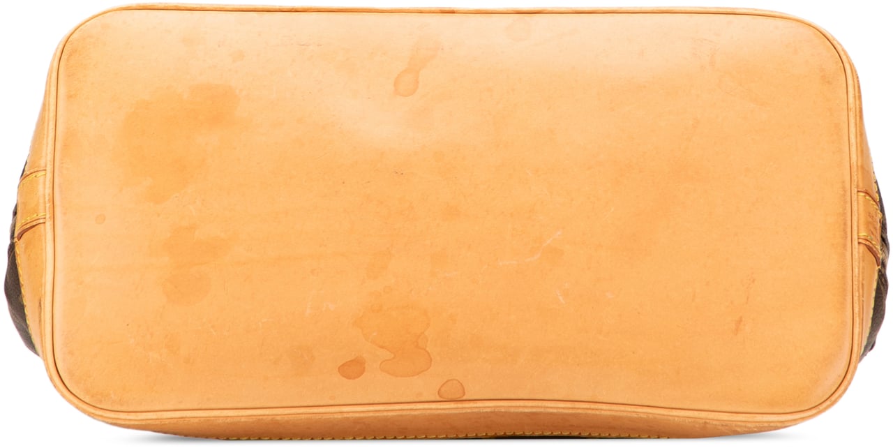 Louis Vuitton Monogram Alma PM Bruin