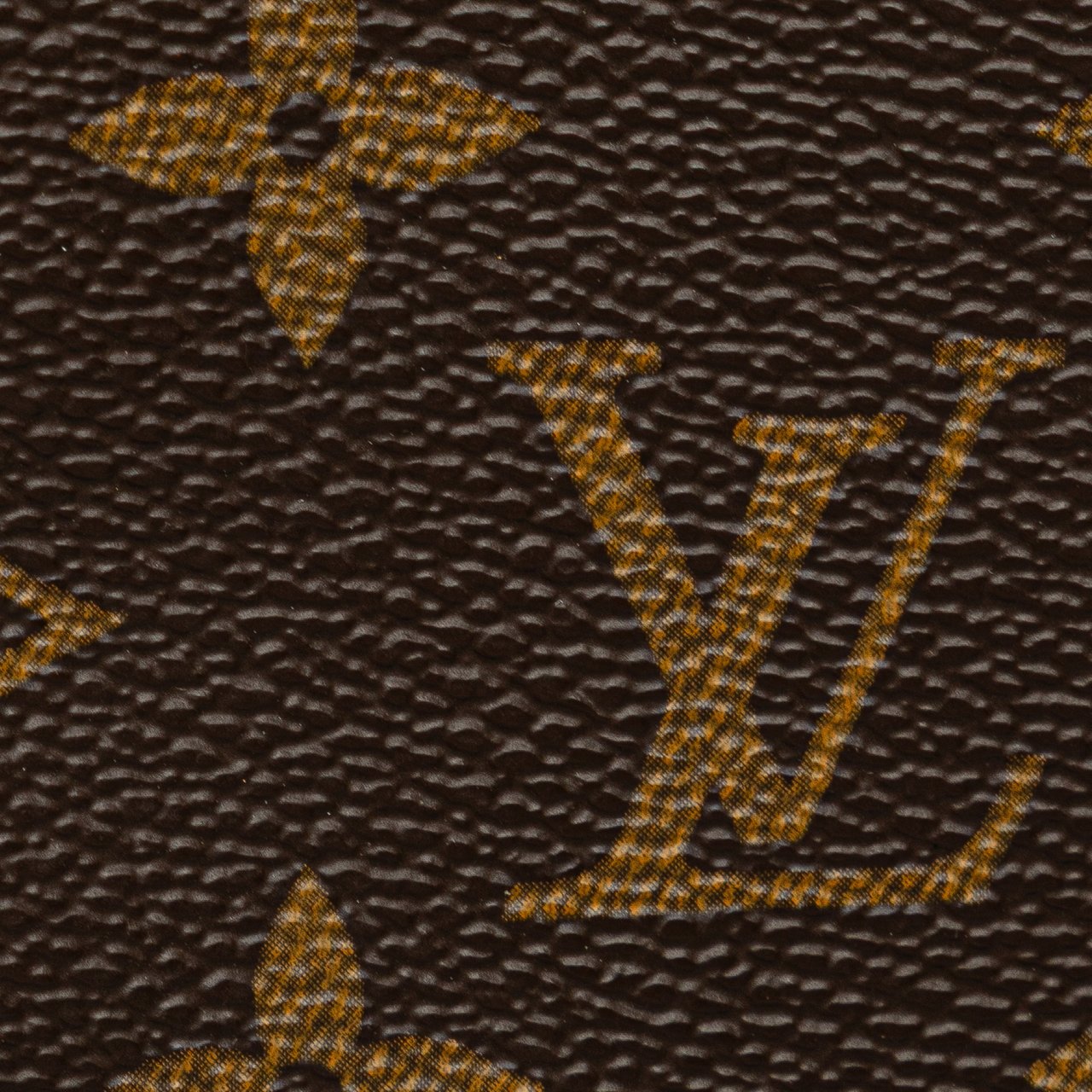 Louis Vuitton Monogram Mini Pochette Accessoires Bruin
