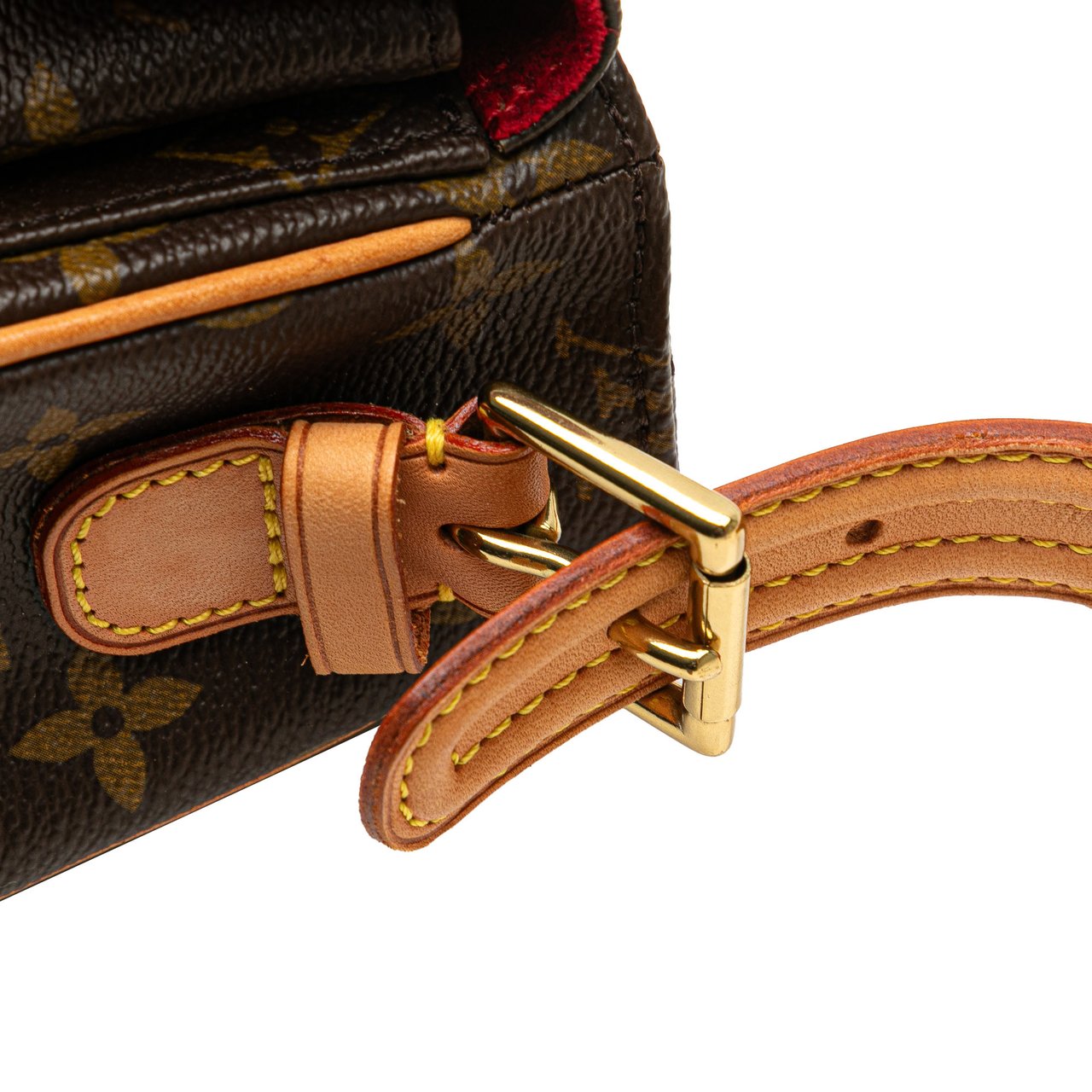 Louis Vuitton Monogram Viva Cite MM Bruin
