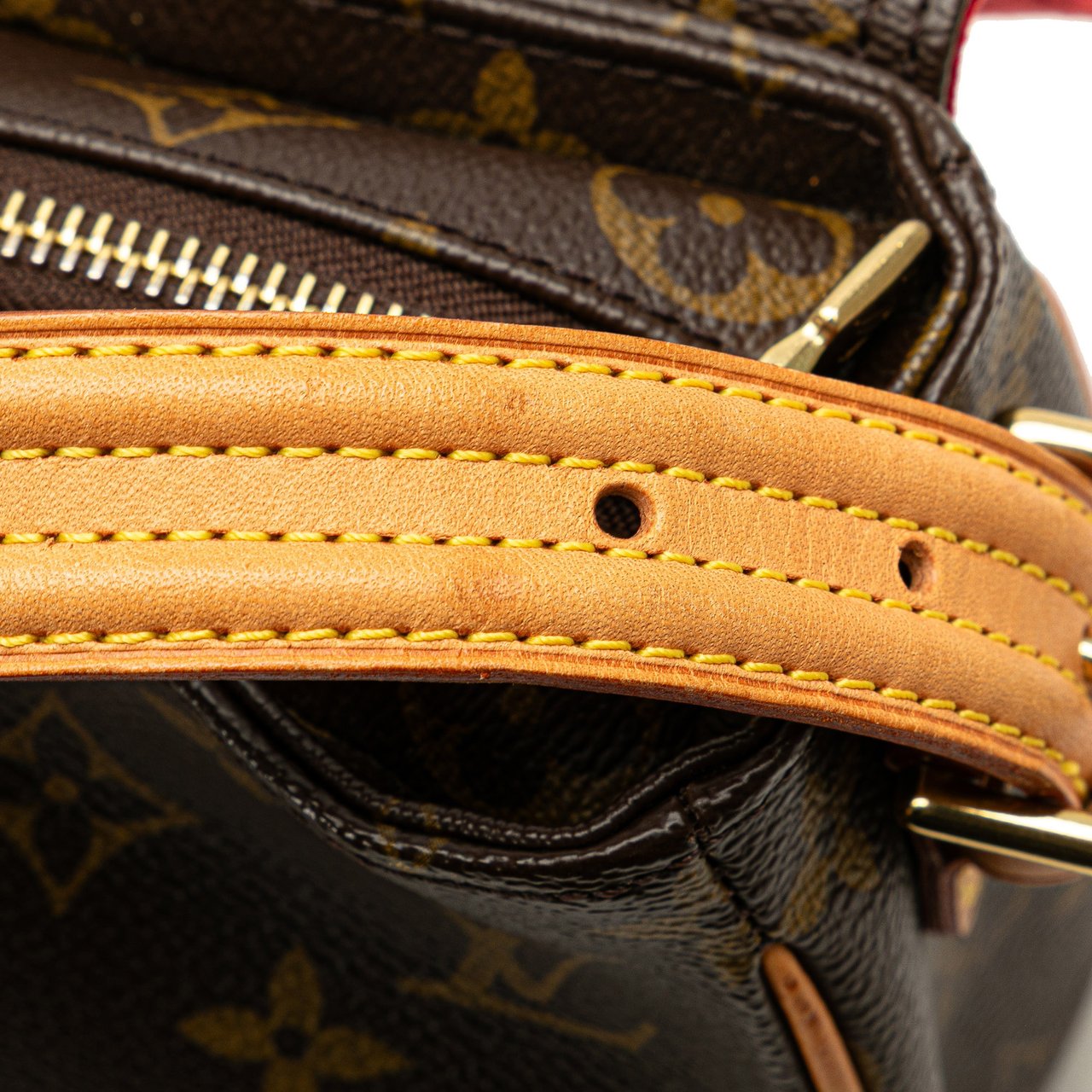 Louis Vuitton Monogram Viva Cite MM Bruin