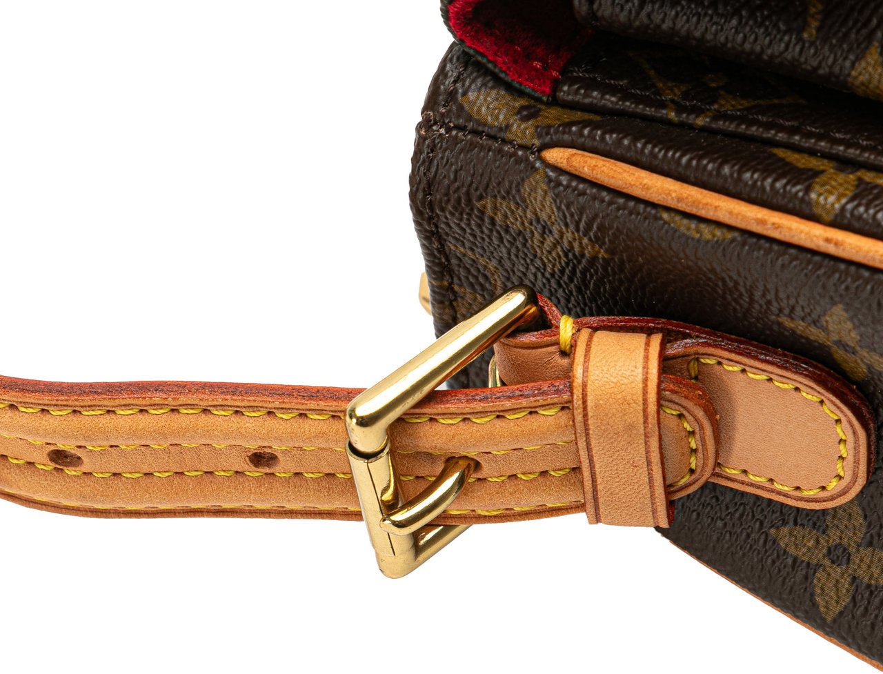 Louis Vuitton Monogram Viva Cite MM Bruin
