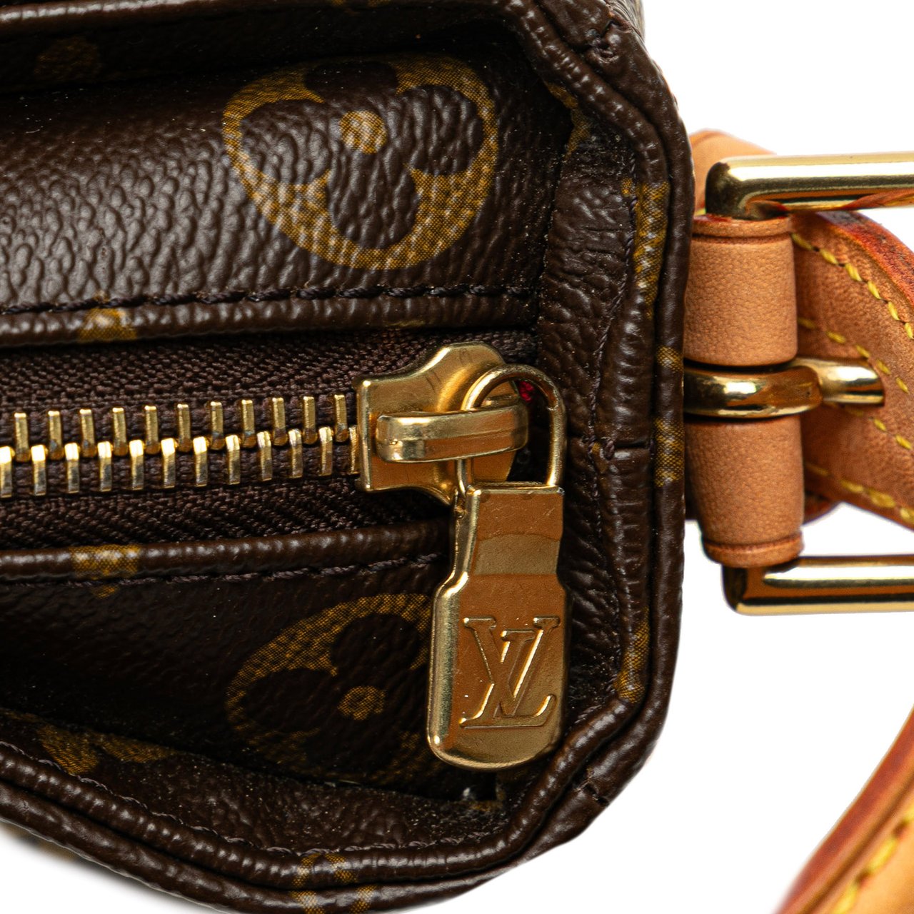 Louis Vuitton Monogram Viva Cite MM Bruin