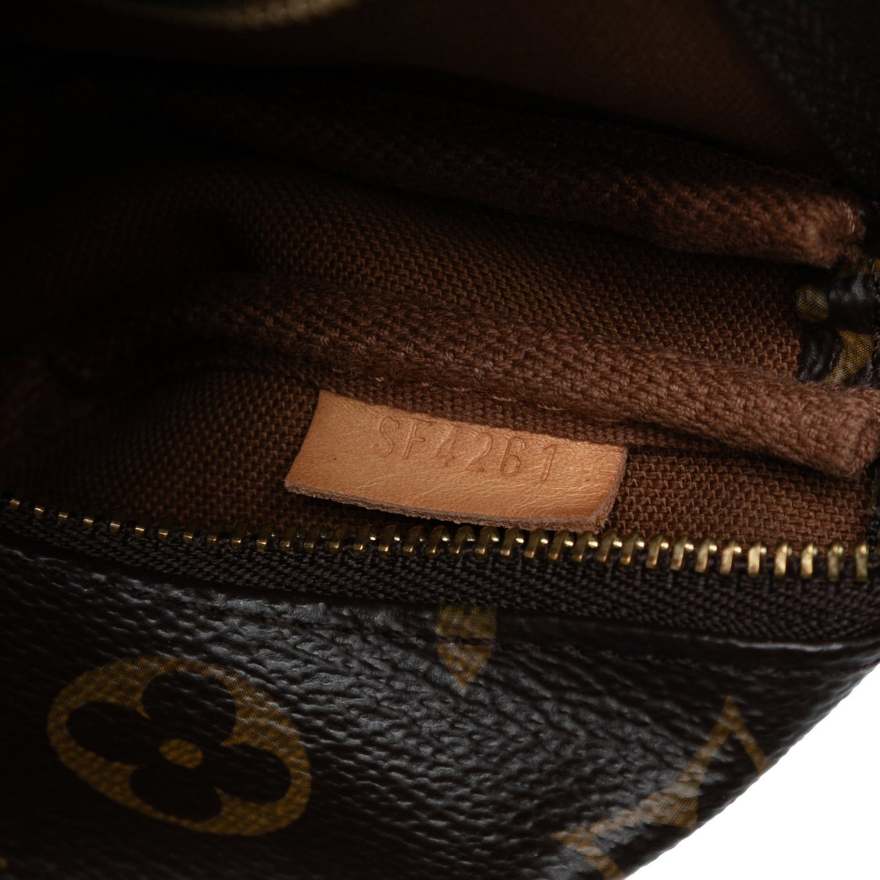 Louis Vuitton Monogram Mini Pochette Accessoires Bruin