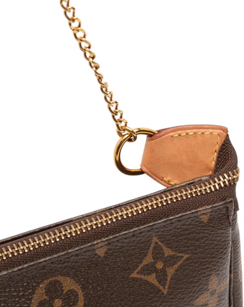 Louis Vuitton Monogram Mini Pochette Accessoires Bruin