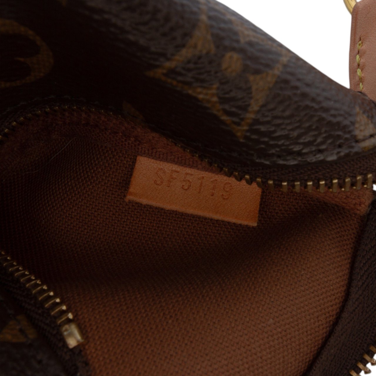 Louis Vuitton Monogram Mini Pochette Accessoires Bruin