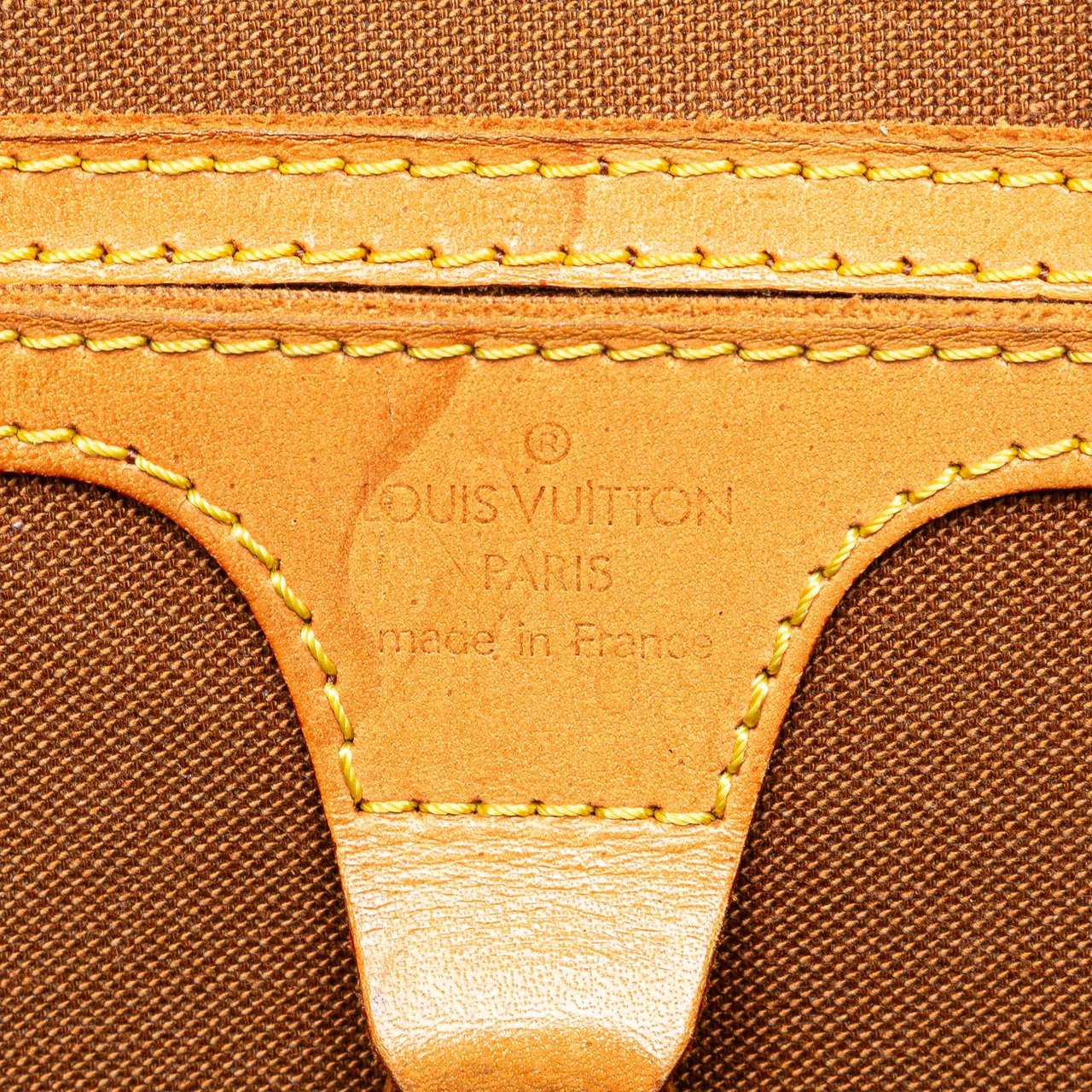 Louis Vuitton Monogram Ellipse PM Bruin