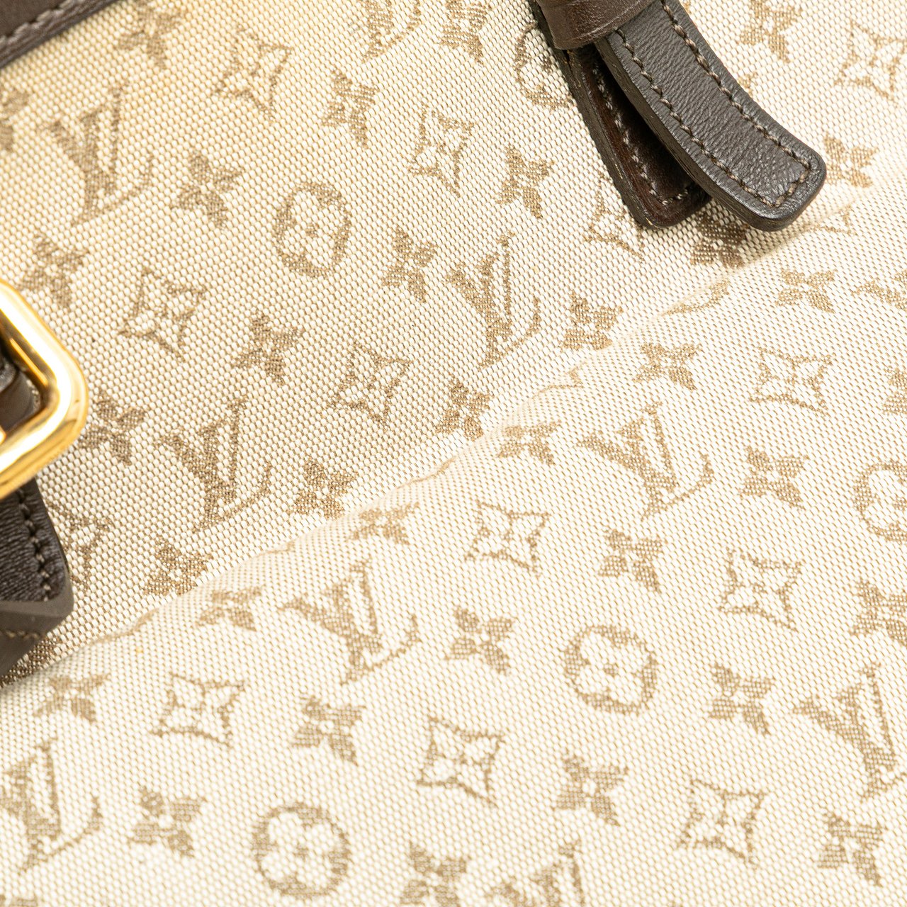 Louis Vuitton Monogram Mini Lin Francoise Bruin
