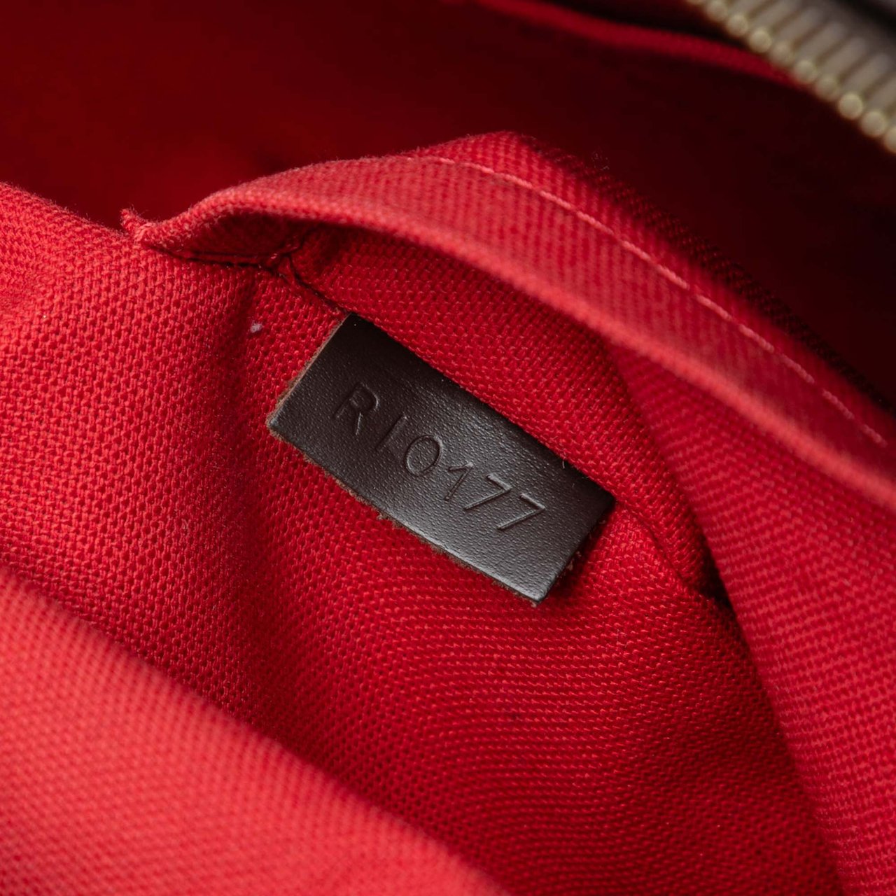 Louis Vuitton Damier Ebene Siena MM Bruin