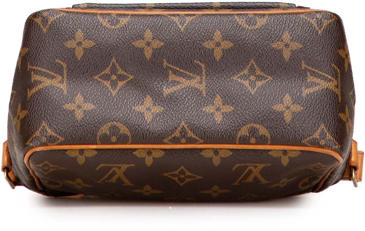 Louis Vuitton Monogram Viva Cite PM Bruin