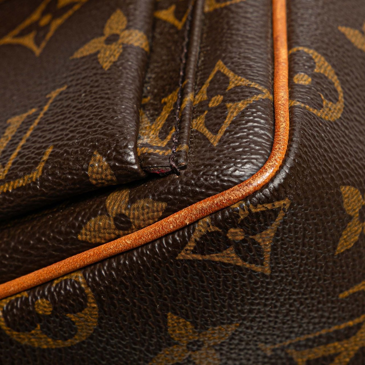 Louis Vuitton Monogram Viva Cite PM Bruin