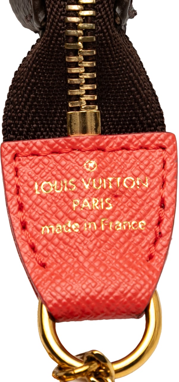 Louis Vuitton Monogram Evasion Illustre Mini Pochette Accessories Bruin