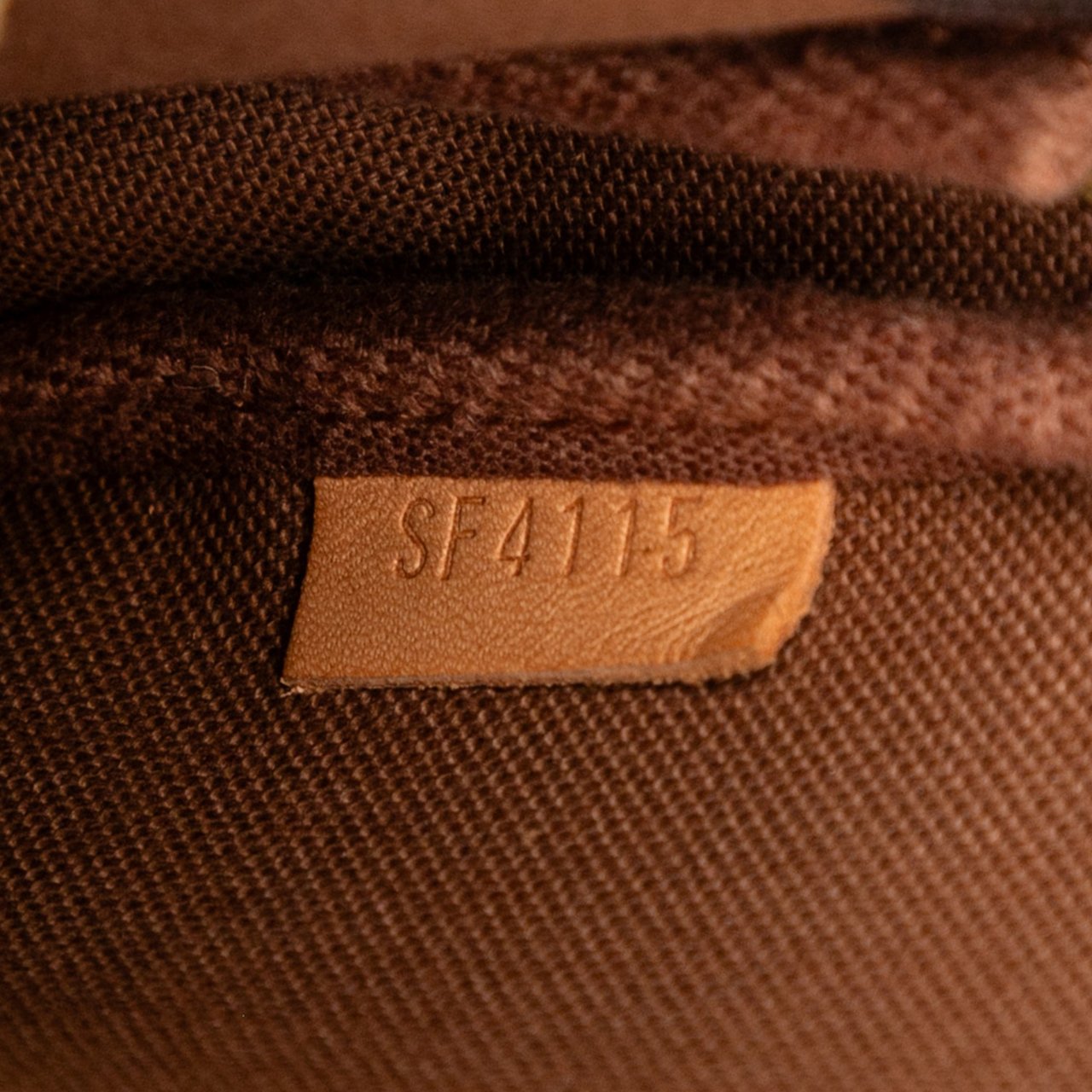 Louis Vuitton Monogram Evasion Illustre Mini Pochette Accessories Bruin