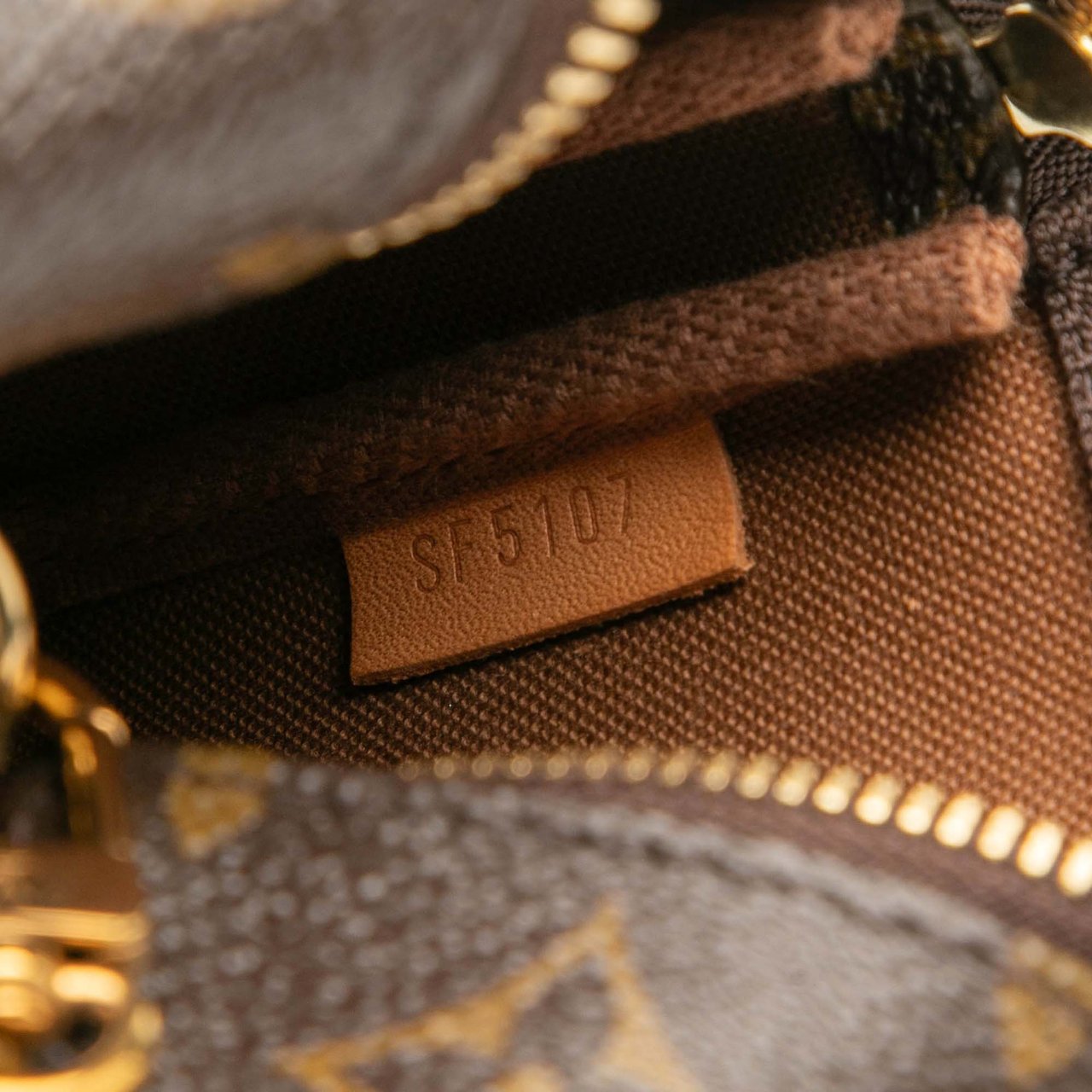 Louis Vuitton Monogram Mini Pochette Accessoires Bruin