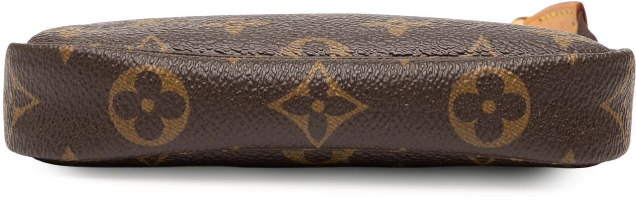 Louis Vuitton Monogram Mini Pochette Accessoires Bruin