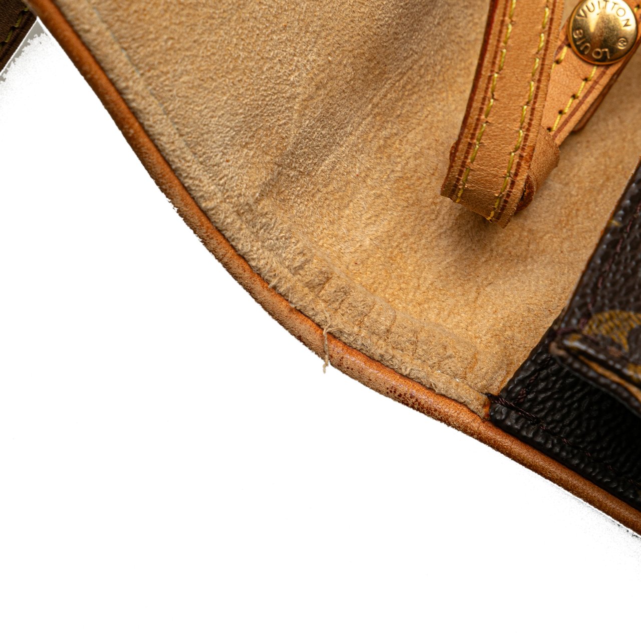Louis Vuitton Monogram Pochette Twin GM Bruin
