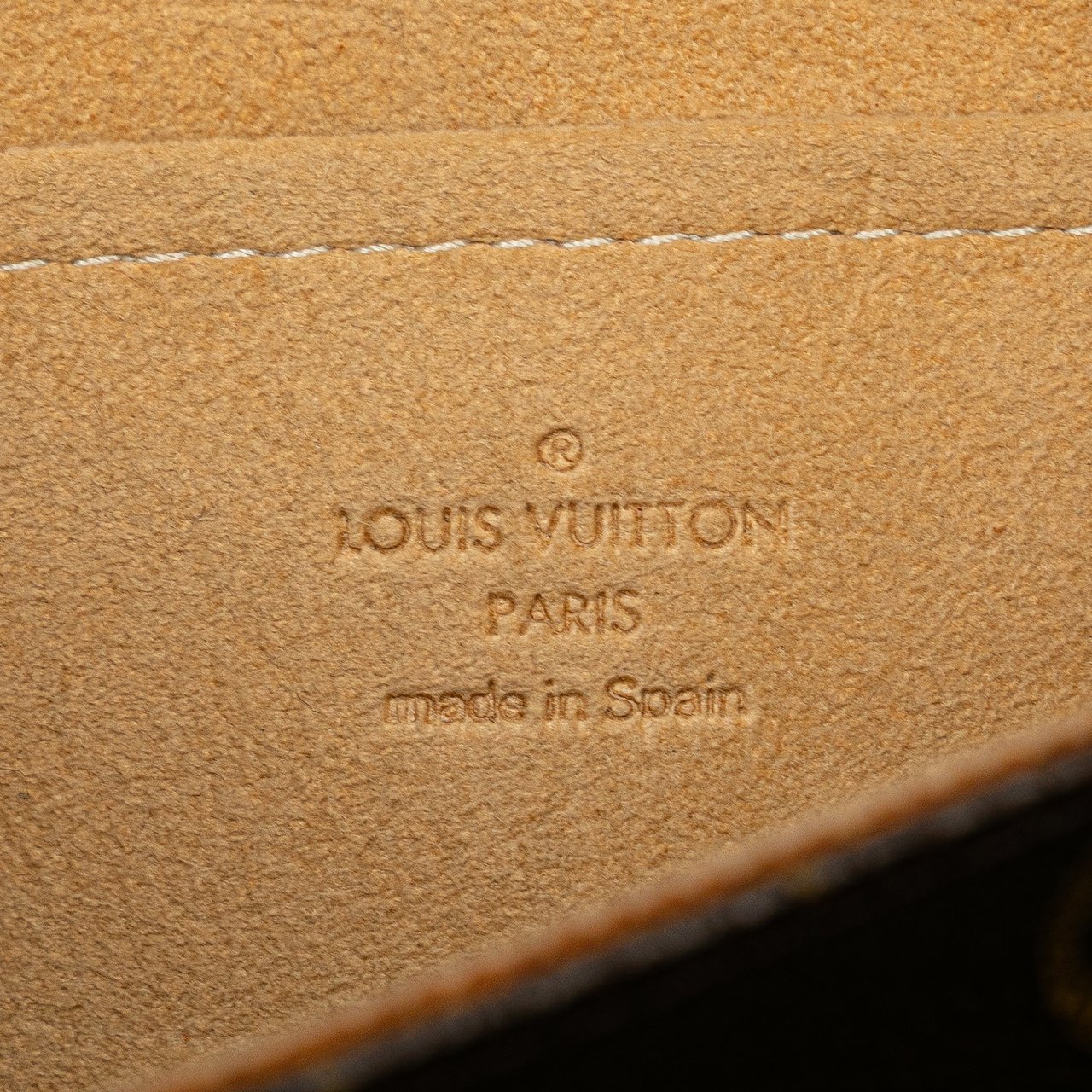 Louis Vuitton Monogram Pochette Twin GM Bruin