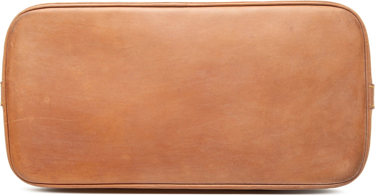 Louis Vuitton Monogram Alma PM Bruin