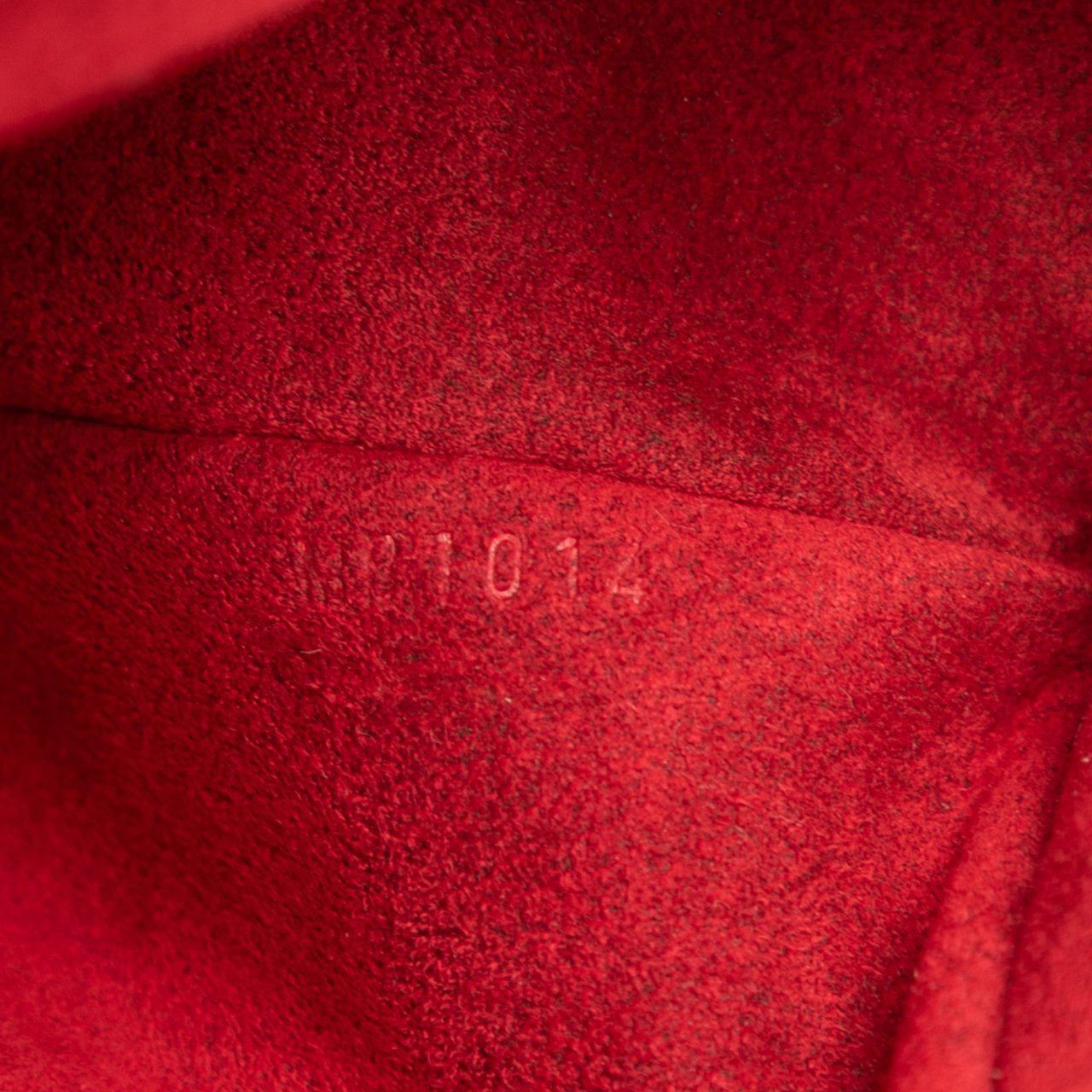 Louis Vuitton Monogram Multipli Cite Bruin