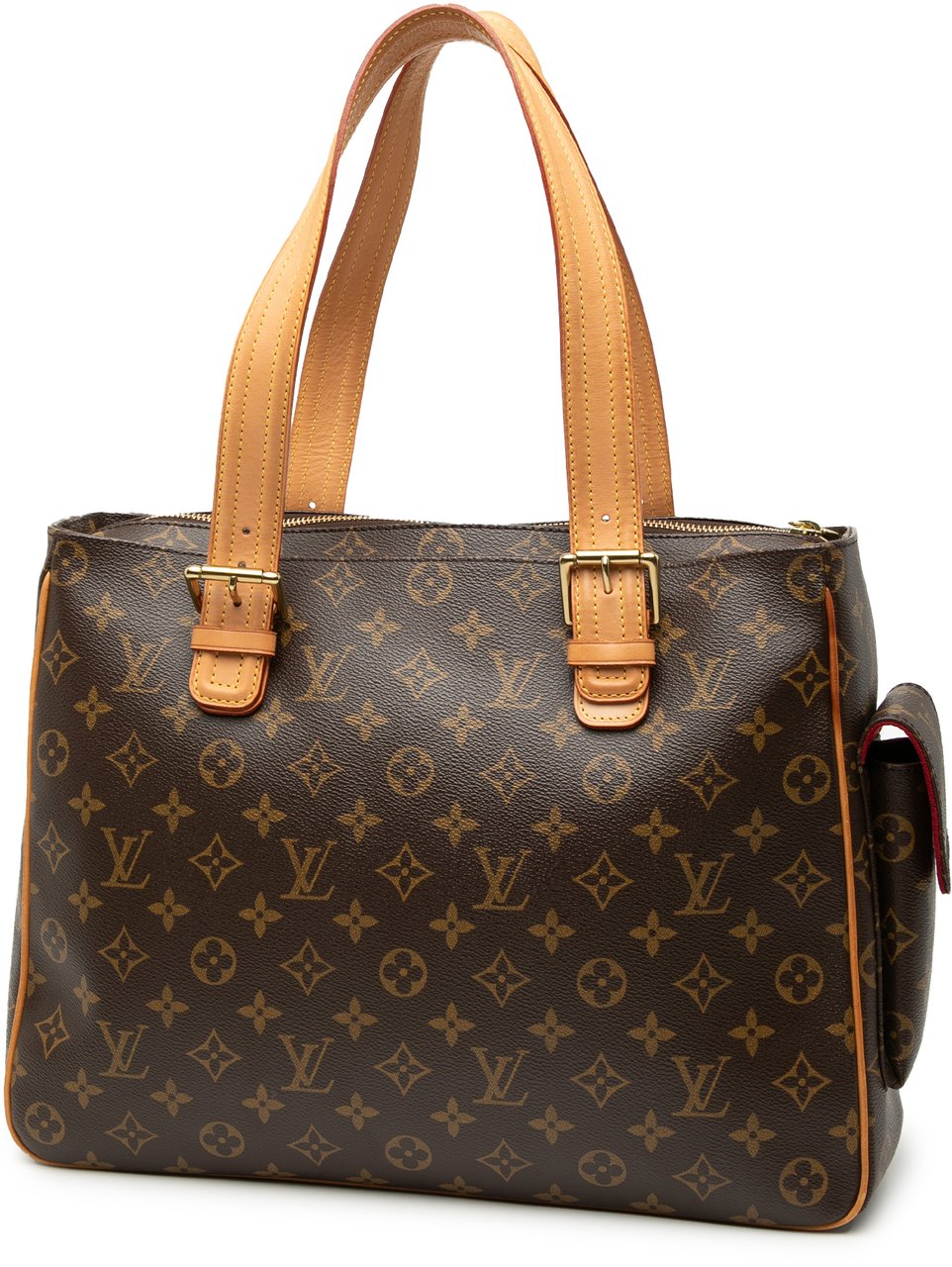 Louis Vuitton Monogram Multipli Cite Bruin