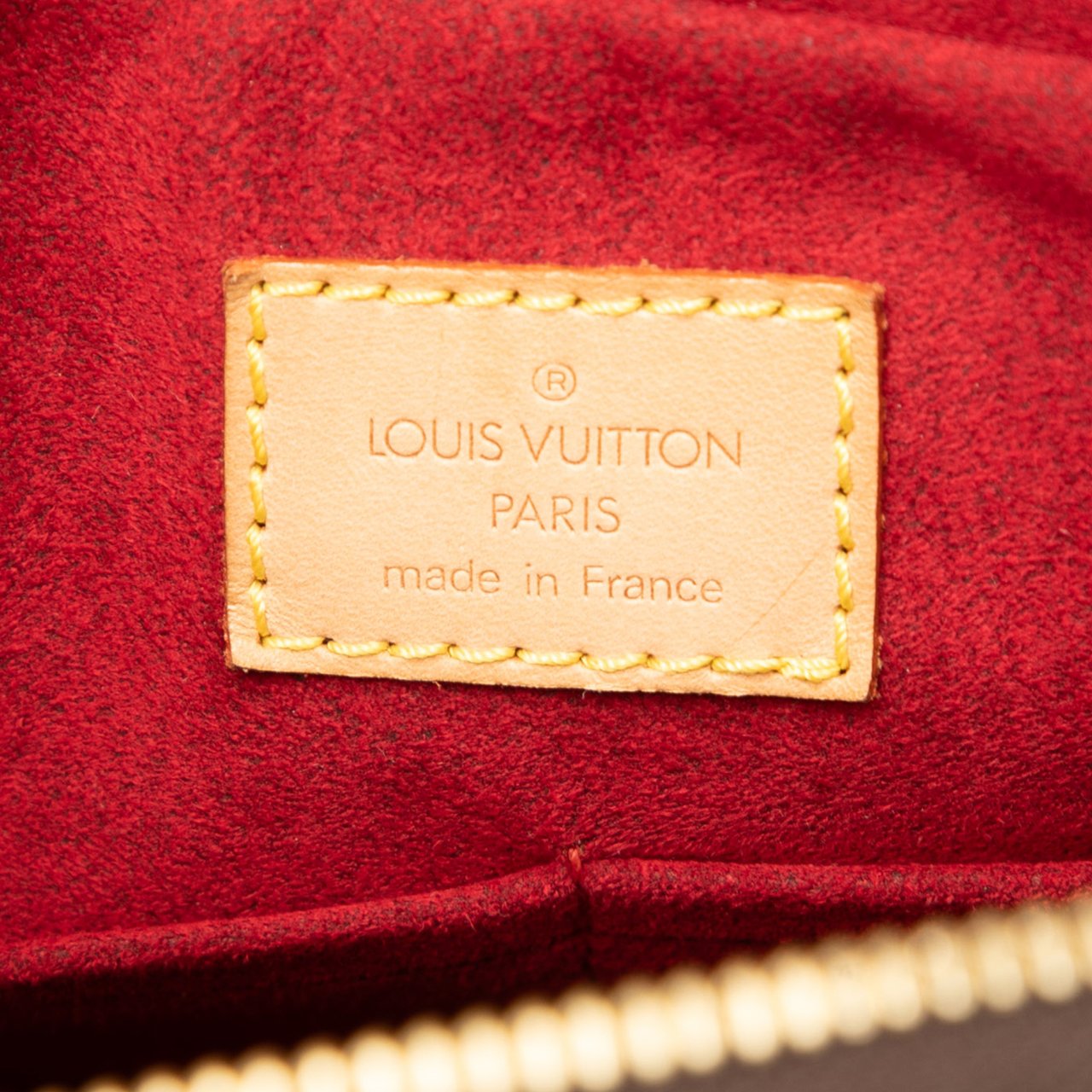 Louis Vuitton Monogram Multipli Cite Bruin