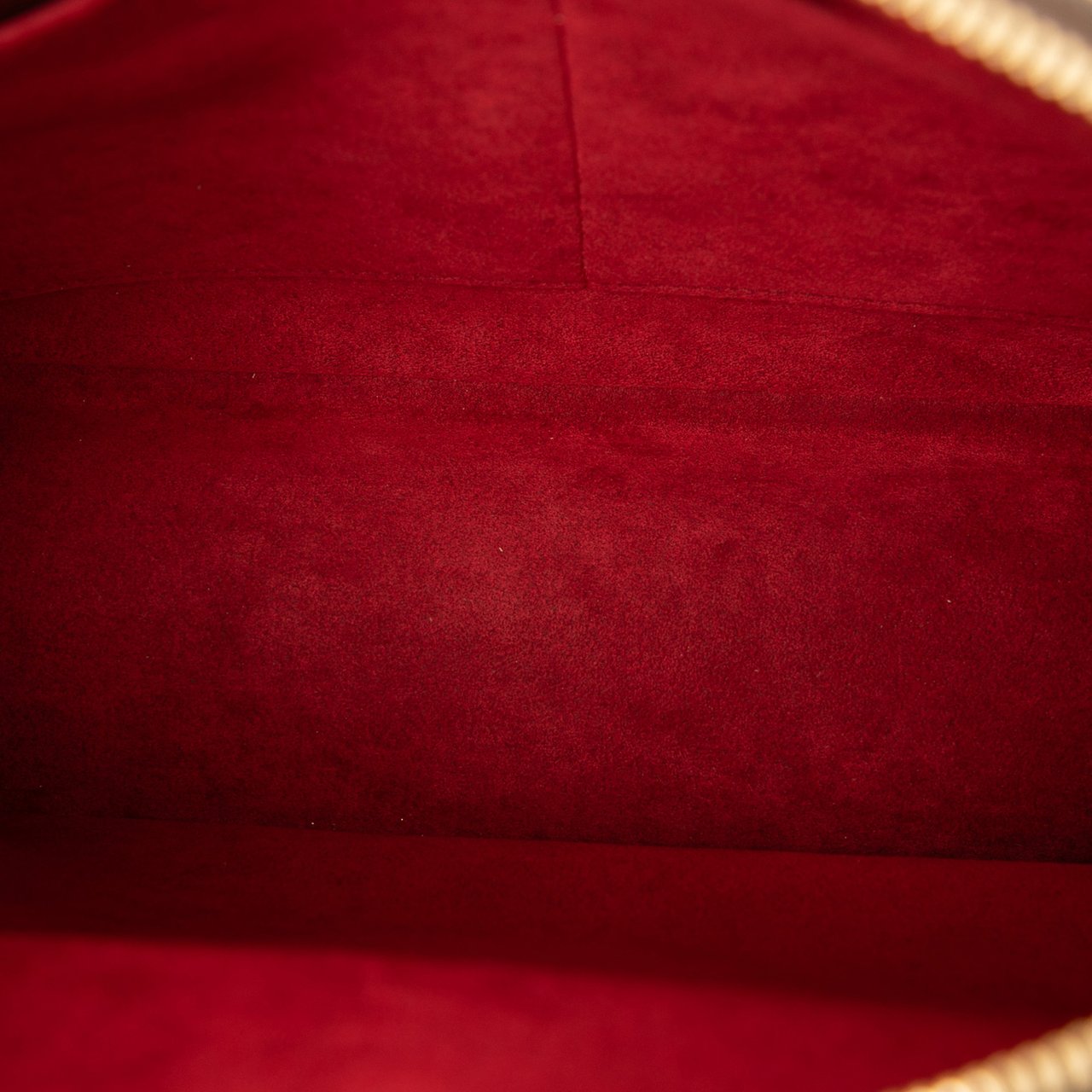 Louis Vuitton Monogram Multipli Cite Bruin