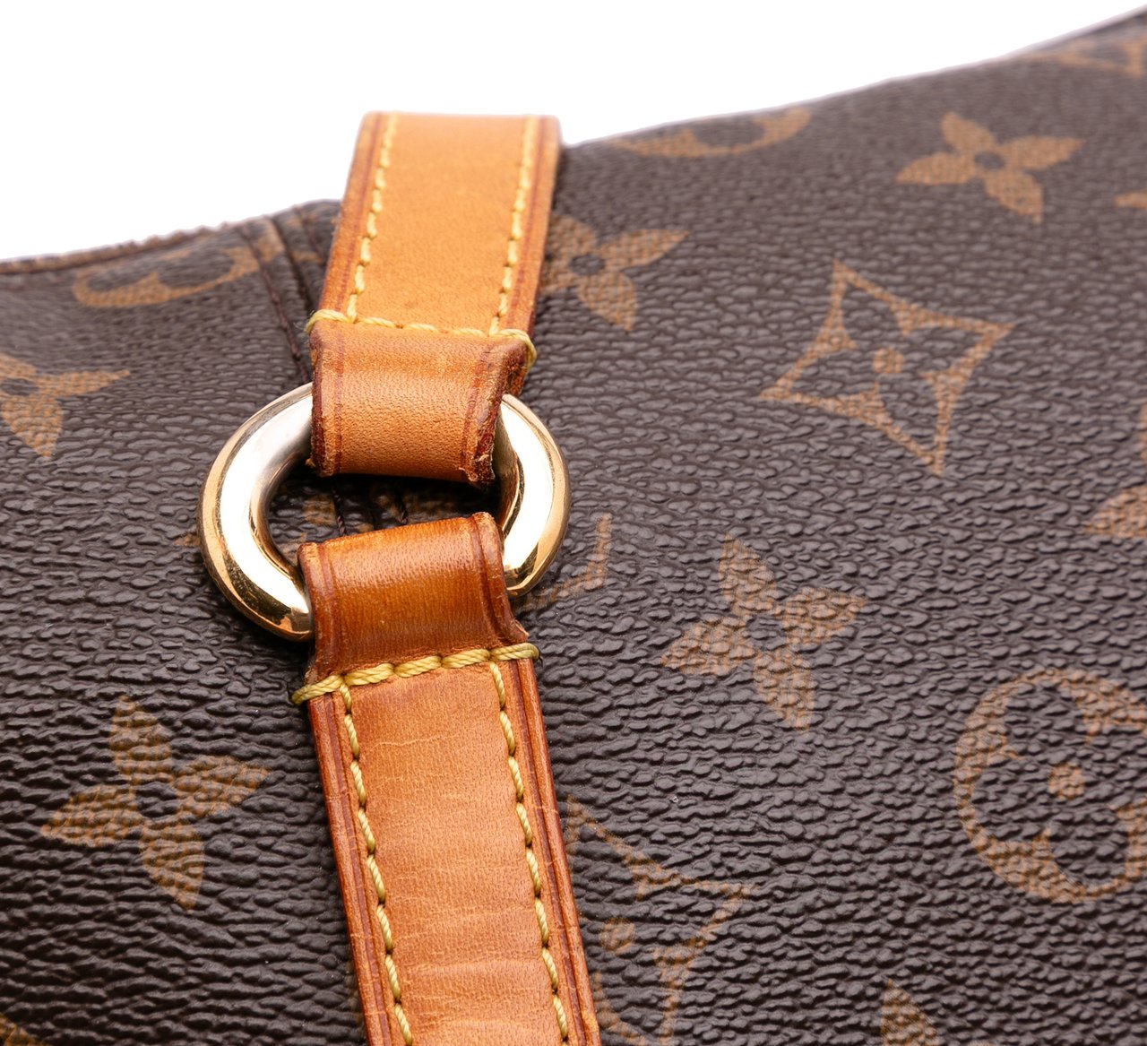 Louis Vuitton Monogram Totally MM Bruin