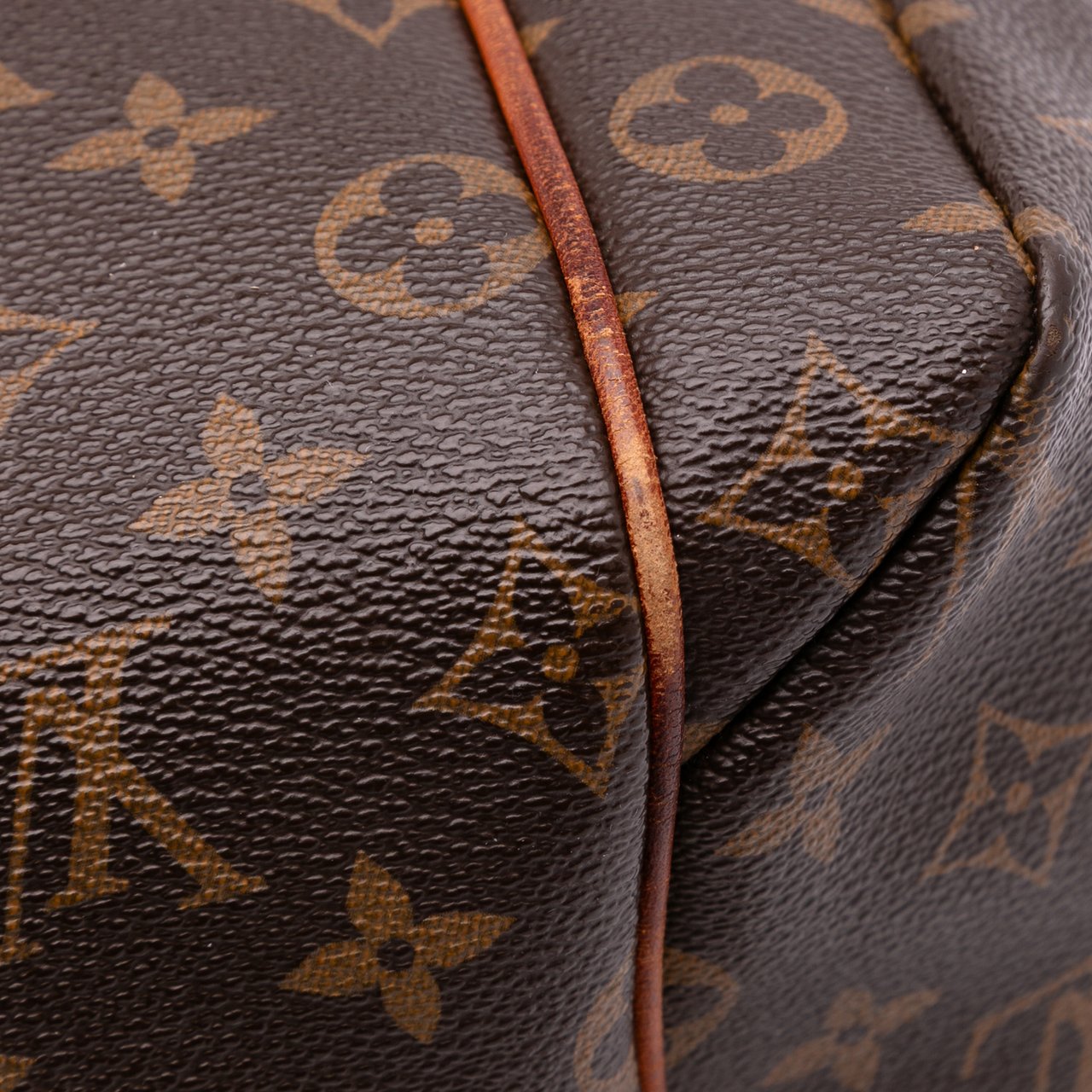 Louis Vuitton Monogram Totally MM Bruin