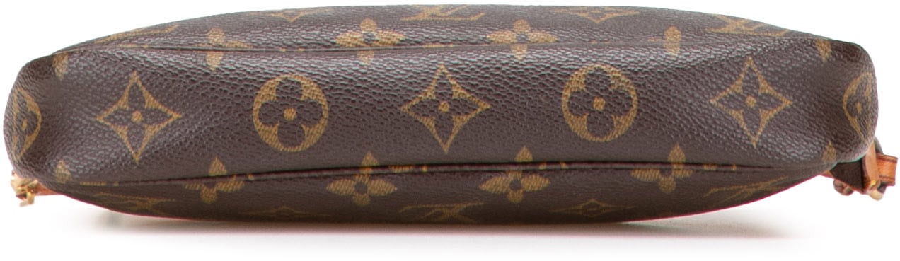 Louis Vuitton Monogram Pochette Accessoires Bruin