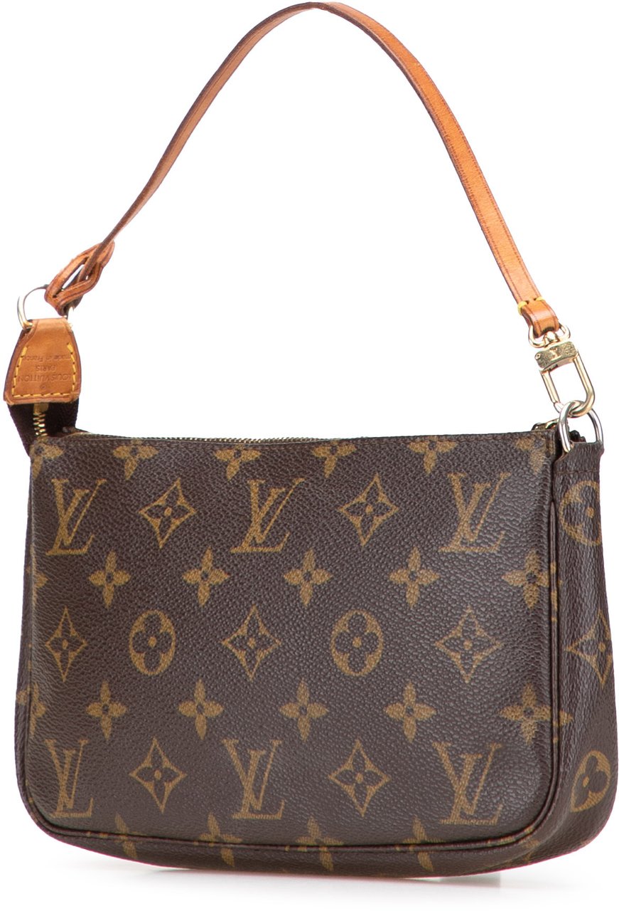 Louis Vuitton Monogram Pochette Accessoires Bruin