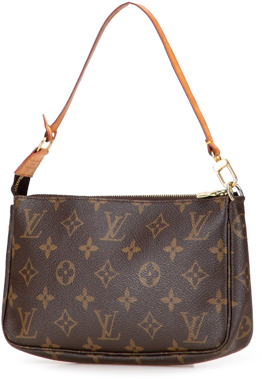 Louis Vuitton Monogram Pochette Accessoires Bruin