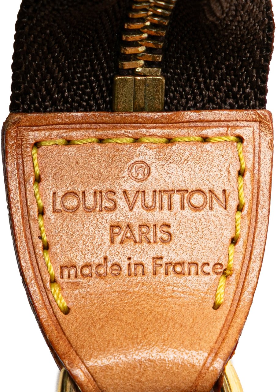 Louis Vuitton Monogram Pochette Accessoires Bruin
