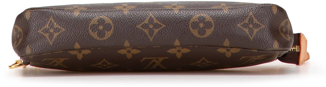Louis Vuitton Monogram Pochette Accessoires Bruin