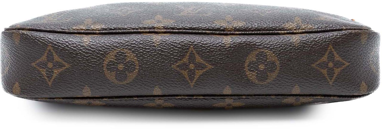 Louis Vuitton Monogram Pochette Accessoires Bruin
