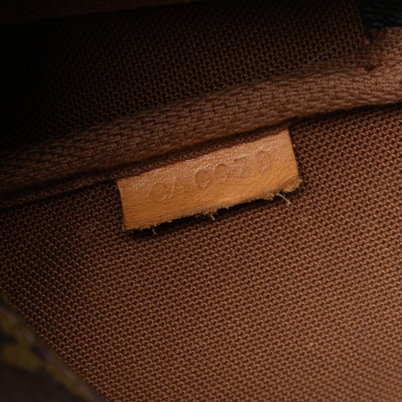 Louis Vuitton Monogram Pochette Accessoires Bruin