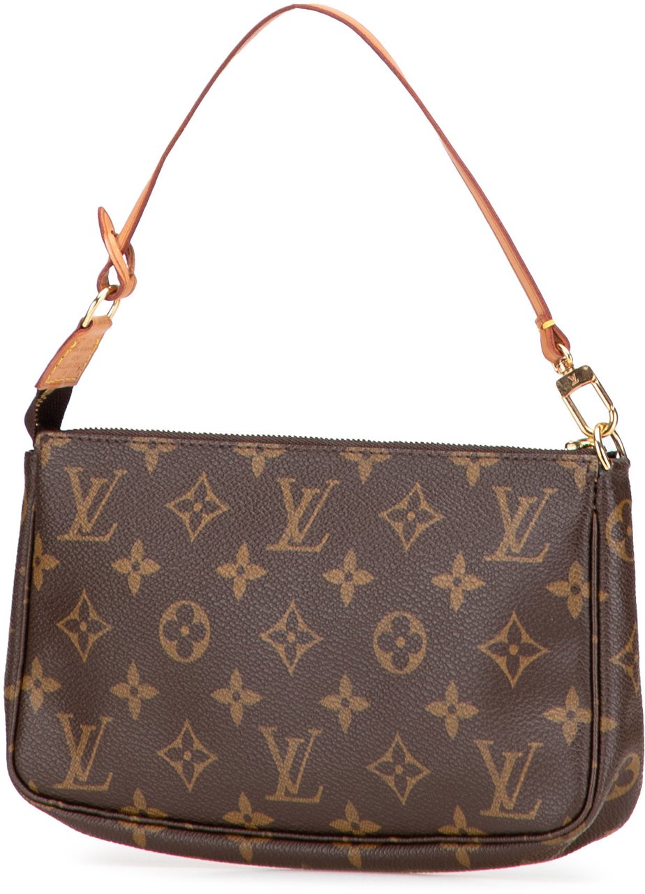 Louis Vuitton Monogram Pochette Accessoires Bruin