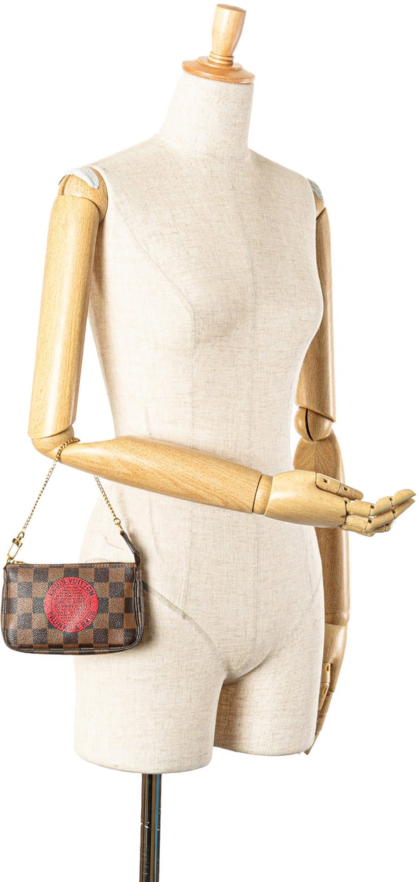 Louis Vuitton Damier Ebene Trunks and Bags Mini Pochette Accessoires Bruin