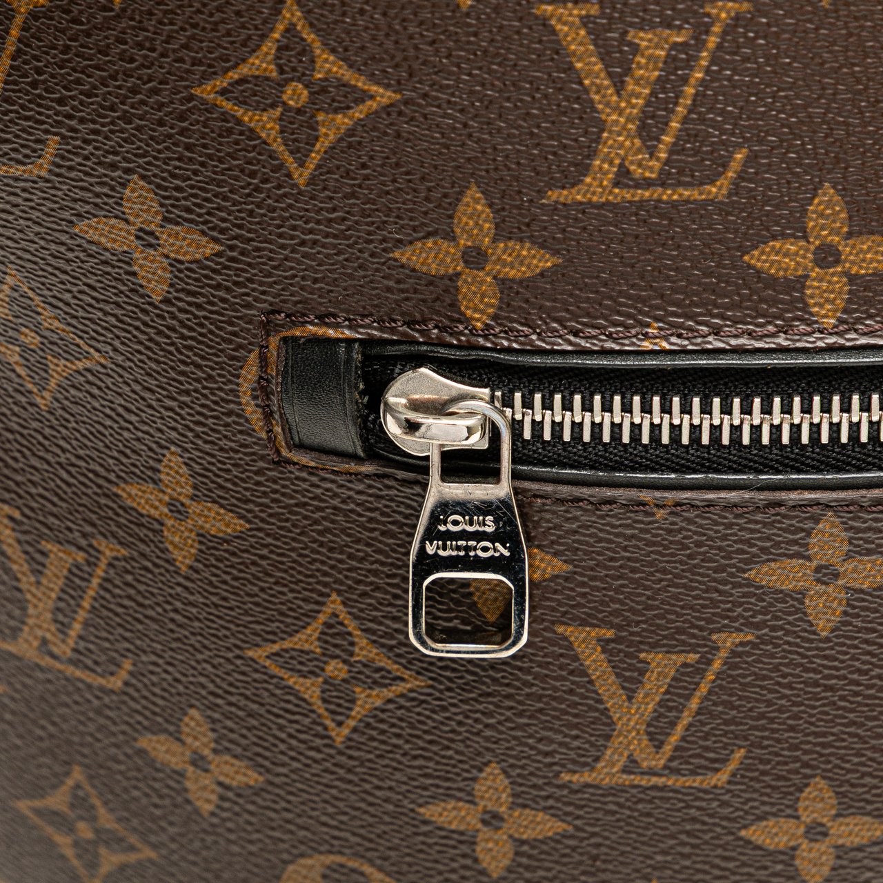 Louis Vuitton Monogram Macassar Palk Backpack Bruin